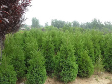 һ�����l�ɰؘ���Ĺ���ļ�������������������K�u�ؘ�G���@�ִ�