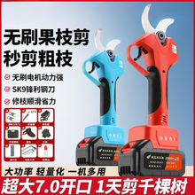 2025�¿�늄Ӽ������ʽ��֦���늹��������@�ִ�֦��늄Ӽ���