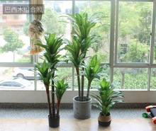 ����ֲ��٘�Gֲ����ľ�F�ʹ�d������ԾƵ��b��҃ȾGɫ�h��