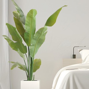 ��ꖷ�����U�Ž���Ӻ��~Ƭ�������Ծ��^�쾰�Ꭷ���ּپGֲ