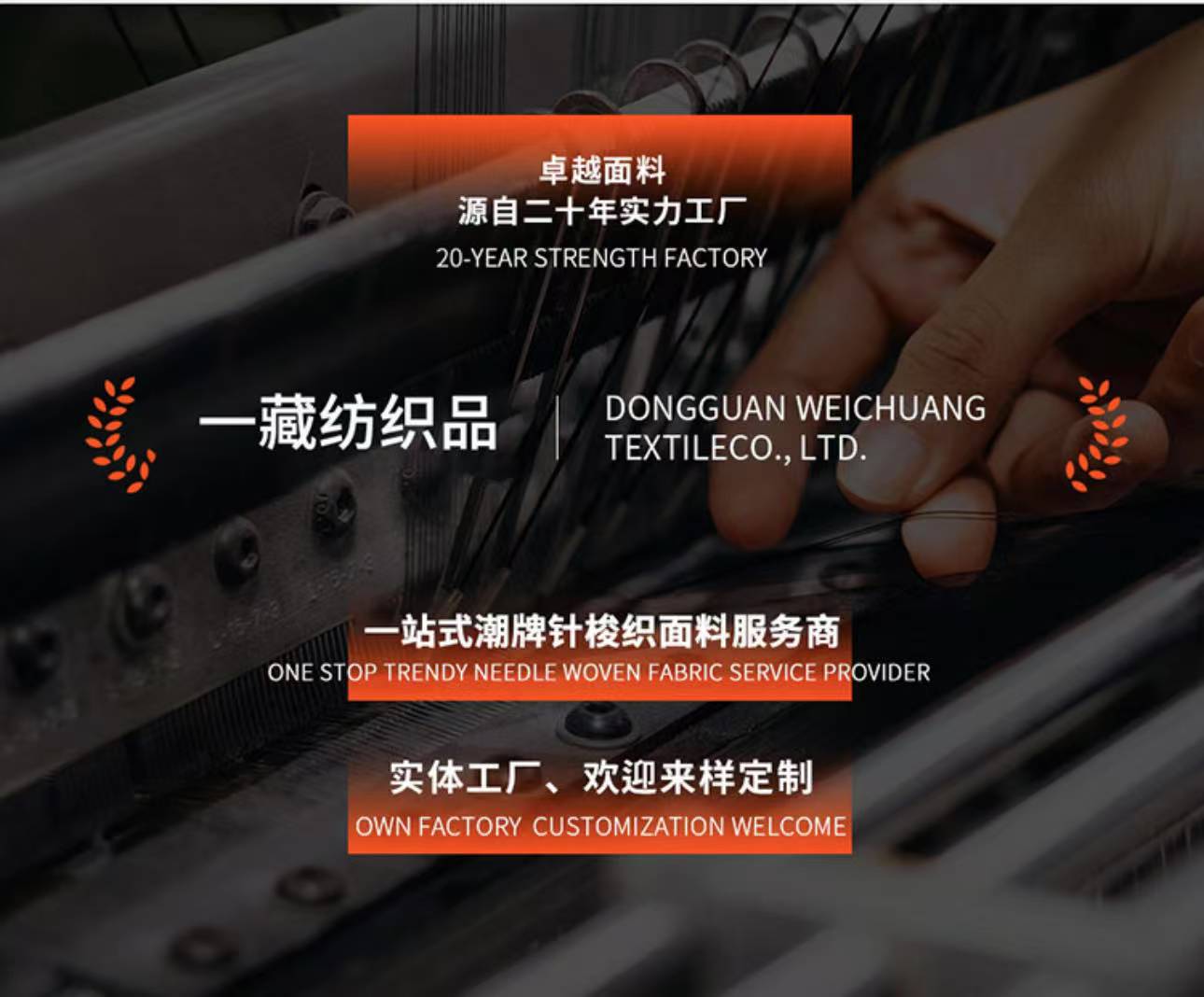 微信图片_202506251456221