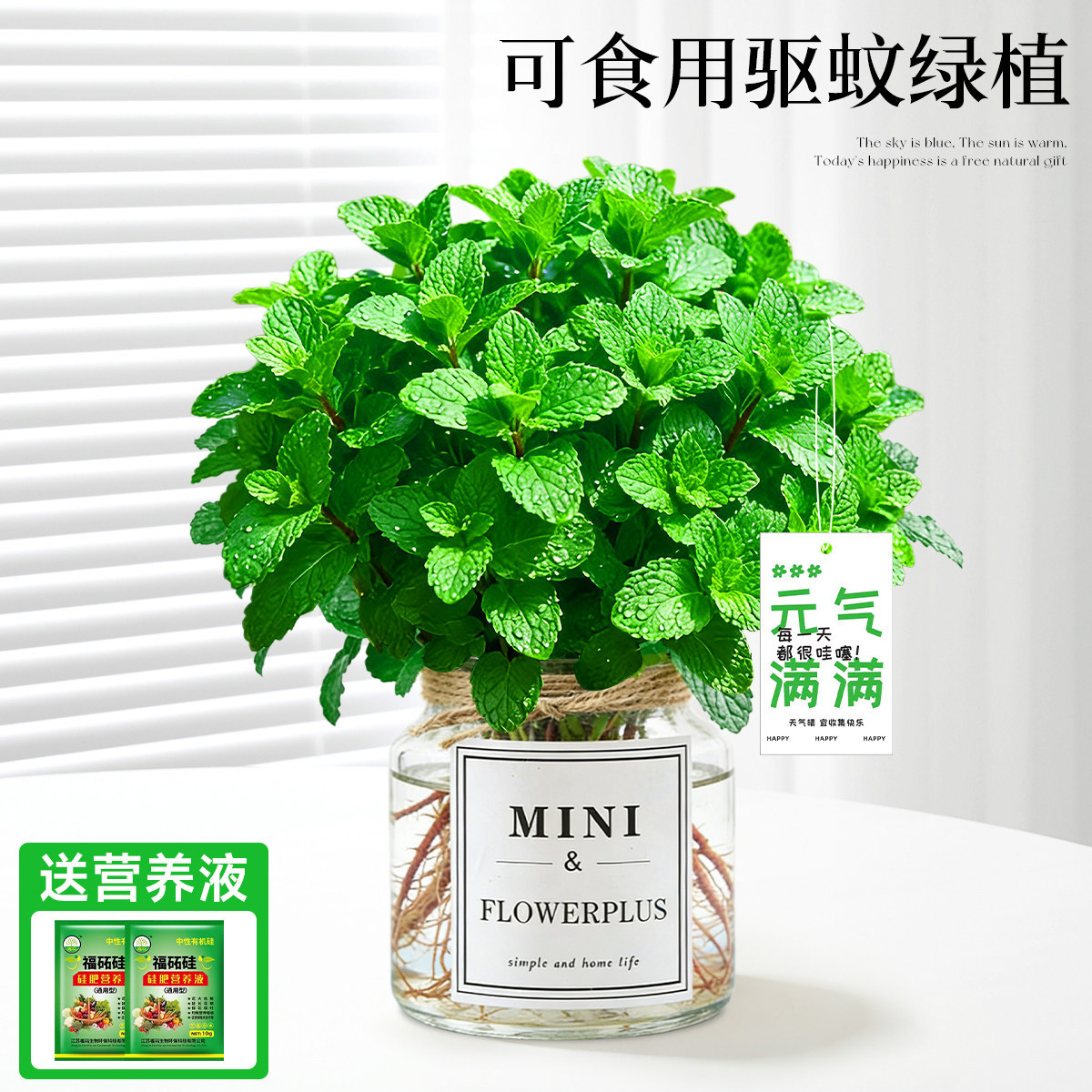 With simple planting pot