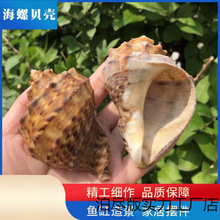 ��Ȼ����ؐ�������~��ˮ���쾰�b��߼ľ�з��ؐ�~���Ӵ�