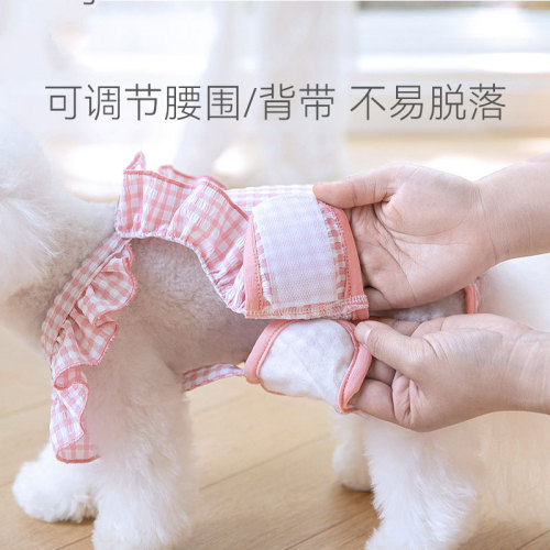 Puppy fungus lace bellyband male and female dog anti-harassment menstrual pants for all seasons spring and summer pet clothes