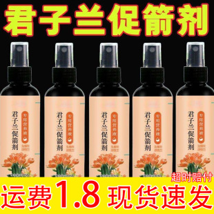 Clivia special nutrient solution for preventing clivia clivia with arrows to promote flowering and treating yellow leaves universal liquid nutrient organic fertilizer