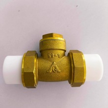 全铜PPR止回阀卧式逆止阀4/6分1寸热熔水管道水表热水器单向阀