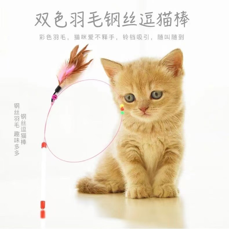 宠物玩具钢丝逗猫棒长杆羽毛铃铛逗猫神器可替换头自嗨解闷猫玩具|undefined