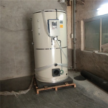 洗浴专用燃气热水锅炉 热水锅炉 浴池用热水锅炉 立式热水锅炉