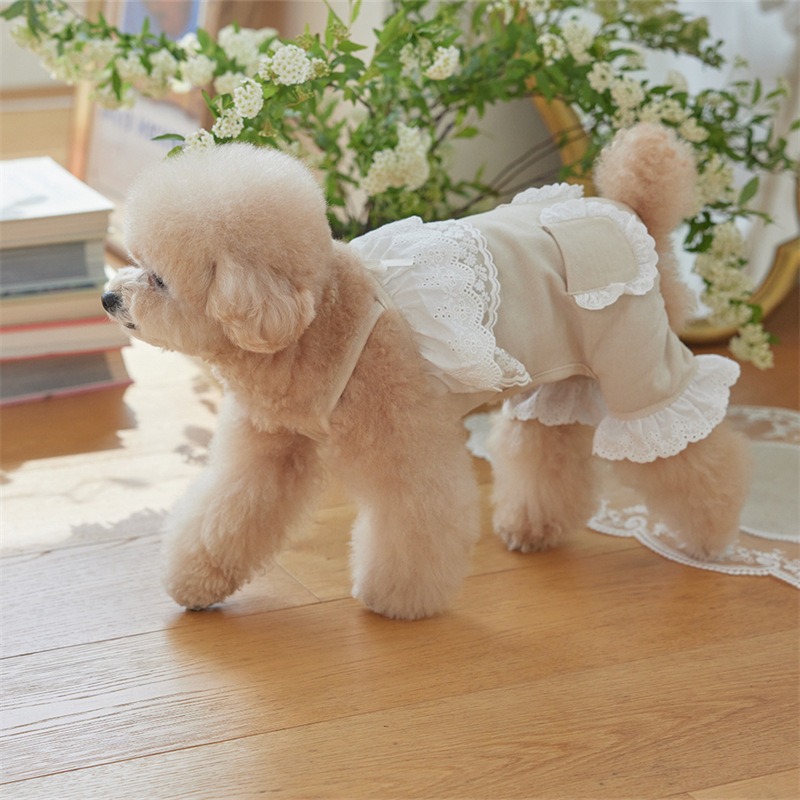 Cute Pet Dog Teddy Dog Clothes Spring and Summer Style Poodle Pomeranian Cat Large and Small Dog Jumpsuit