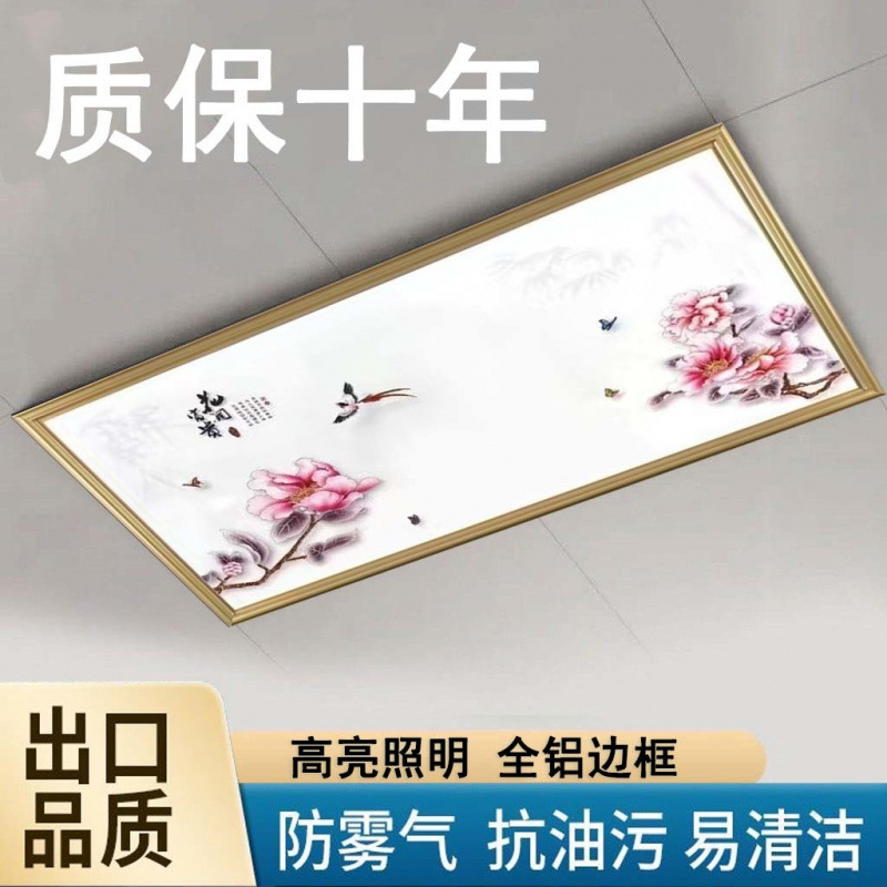 Integrated ceiling led light ultra-thin flat panel light kitchen light bathroom light aluminum gusset embedded 30x 60 cross-border