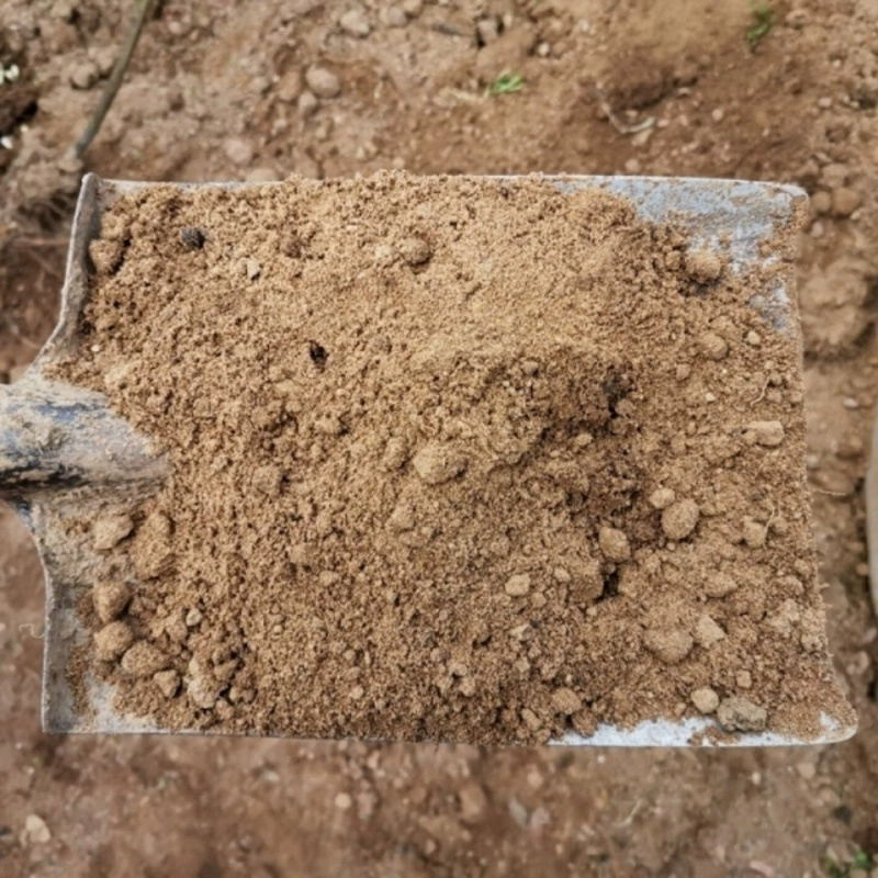 QX специальная цена, аутентичная коровья почва Тайшань, родная почва, натуральная почва, цветочная почва, чистая и не загрязненная, производится в Тайшань, Тайшань