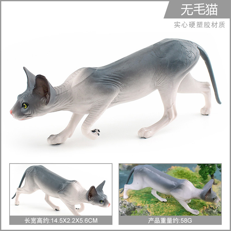 Pl127 - 1840 gato sin pelo 58g