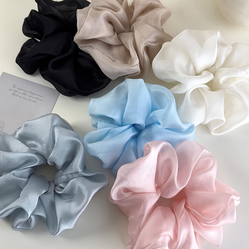 20250219-2025_02_19_10_09_IMG_