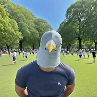 �f�}����� ����������� ���z�����^����̨����  ��D����