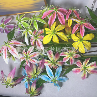 ����ٺ����^�zƬ���滨��c��Y���b߼��е��Ų廨���m�ٺϻ�