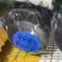 Трансграничная разъем Французская домашняя розетка 4 отверстия Многофункциональная настольная вставка