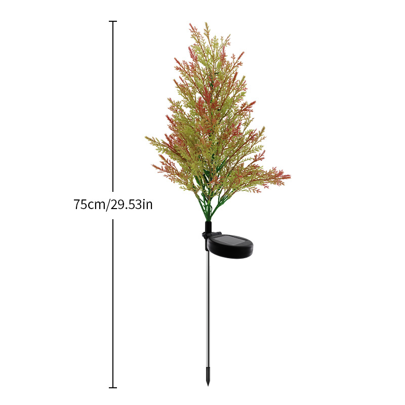 소나무와 편백나무