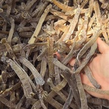 庞氏食品  原色北海大沙虫 280-300头   原色生晒，无沙，无漂洗