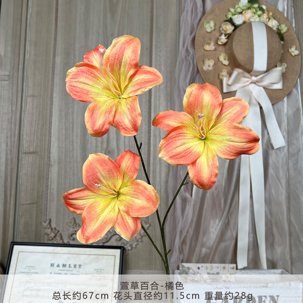 FS-Hemerocallis Lily-Cam