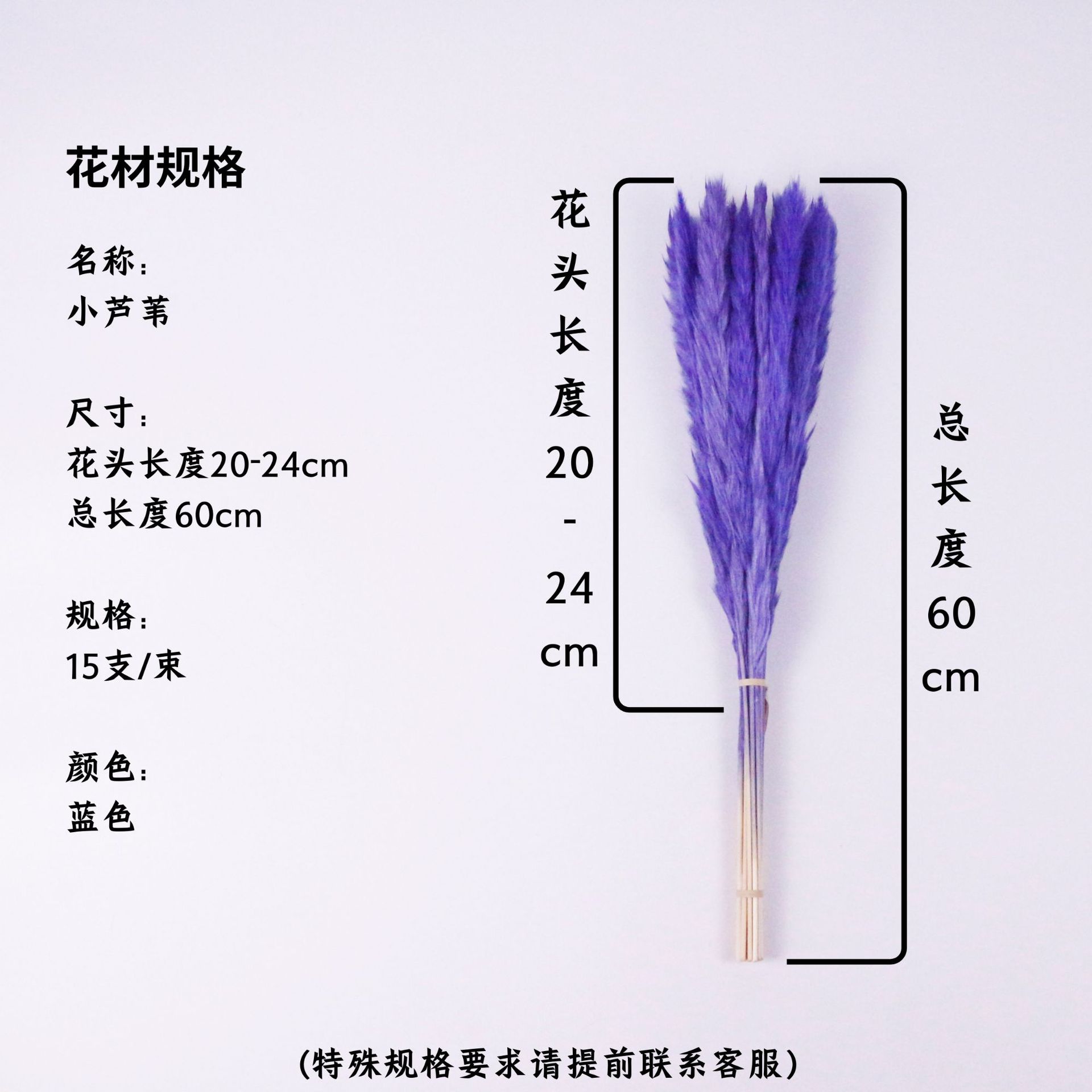 푸른 꽃 머리 20-24cm