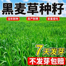 ݷNӷNļͺݷNBֳݷNuţ~