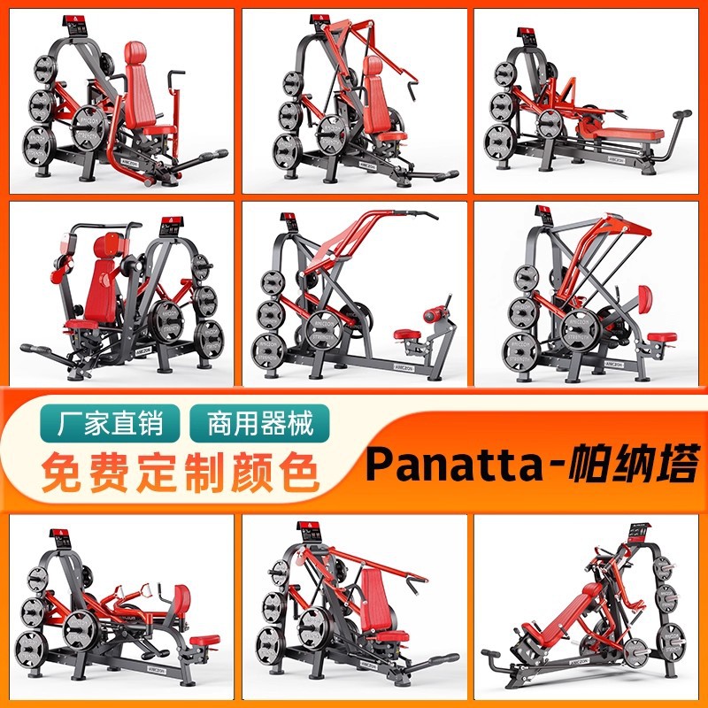 Panatta Equipos Panatta Fitness Equipos completos para gimnasio Piernas traseras Equipos de ejercicio de pecho