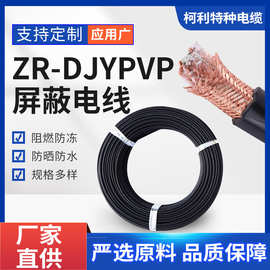 ZR-DJYPVP屏蔽电缆 高压试验线缆无氧纯铜双芯电缆大型设备信号线