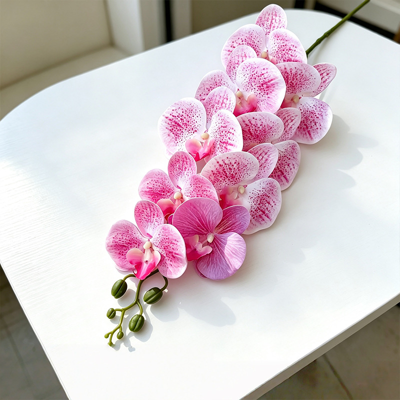3D Phalaenopsis mới/hồng đốm