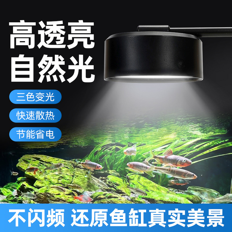 Fish Tank Light Led Downlight Native Stream Tank Full Spectrum Aquatic Plant Lighting Landscaping Light USB Algae Explosion Ornamental Fish Tank Light