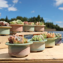 新款多肉花盆陶瓷创意个性小拼盘帽檐彩虹流釉渐变色绿植室内花器