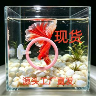 ���~Ӗ��Ȧչβ呟����P���С���~���쾰�b�ιʳ�h���~Ӗ��Ȧ