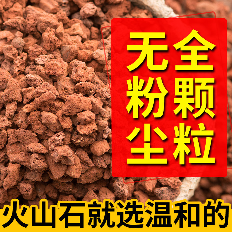 Volcanic Stone Particles Volcanic Rough Stone Orchid Fleshy Particles Special for Potted Aquarium Landscape Pavement with Soil Pad