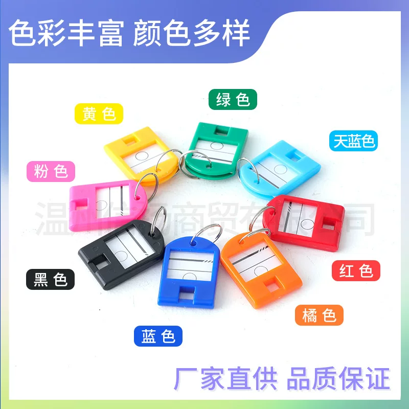 Plastic removable keychain for keys for office