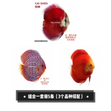 �߲������~�^�p�~��ˮ�~�����~�����������~�����{С�͟Ꭷ�^�p�~