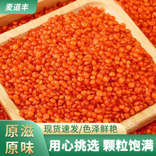 红扁豆红小扁豆马粟豆小扁豆绿扁豆五谷杂粮批发土耳其红扁豆