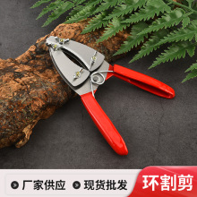 �S�ҬF؛���l�tɫ�h����p�Эh�����p�ӭh��������h����h��p