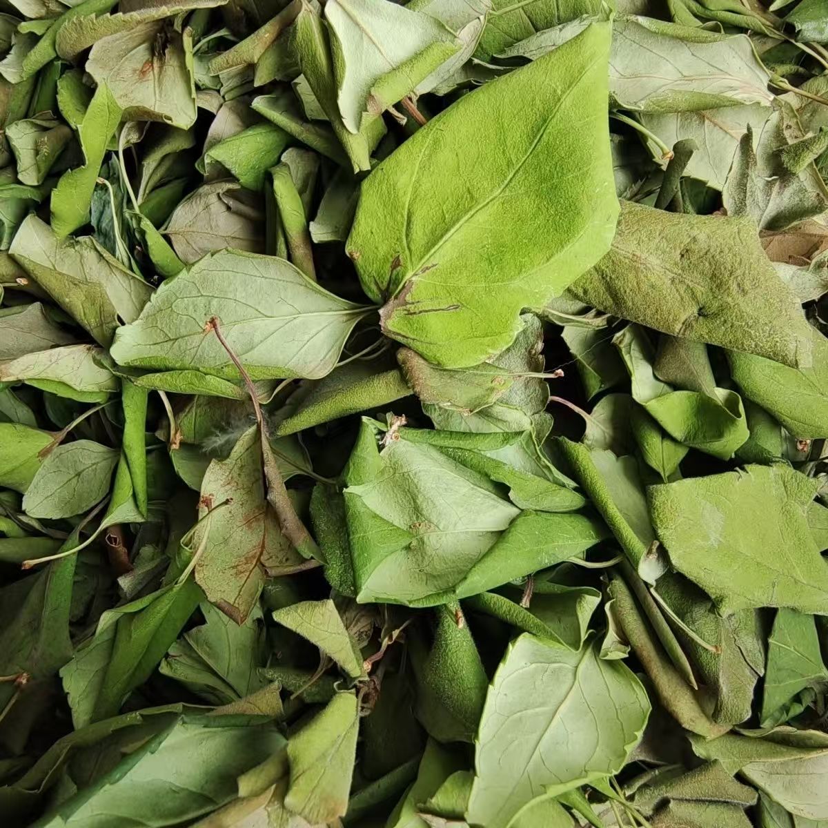 Dried Forsythia Leaf Tea Lian Qiao Ye 500g Sun Dried Herbal Tea Leaf from Shanxi key features