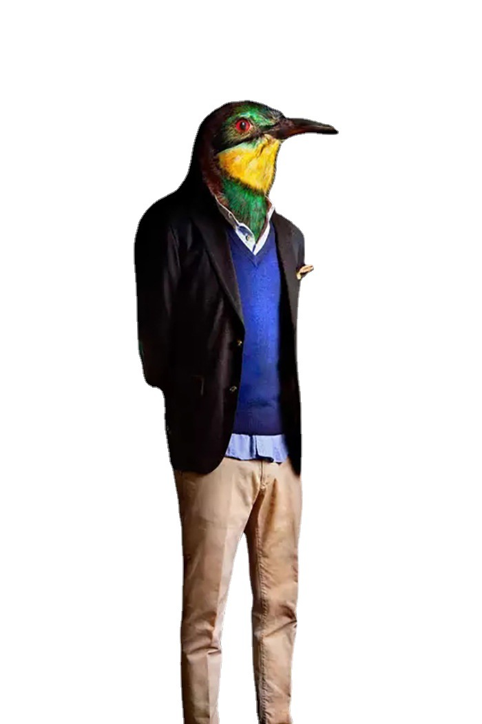 �����װ������������̳��������������չ�᲼�õ���������װ