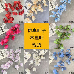 ���滨ľ���~��c����ɭϵ��Y�b��Ĕz����·���������컨�ٻ�