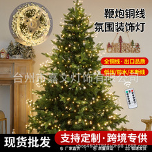 跨境LED圣诞鞭炮灯蜈蚣脚铜线灯串室内外节日庭院装饰带遥控彩灯