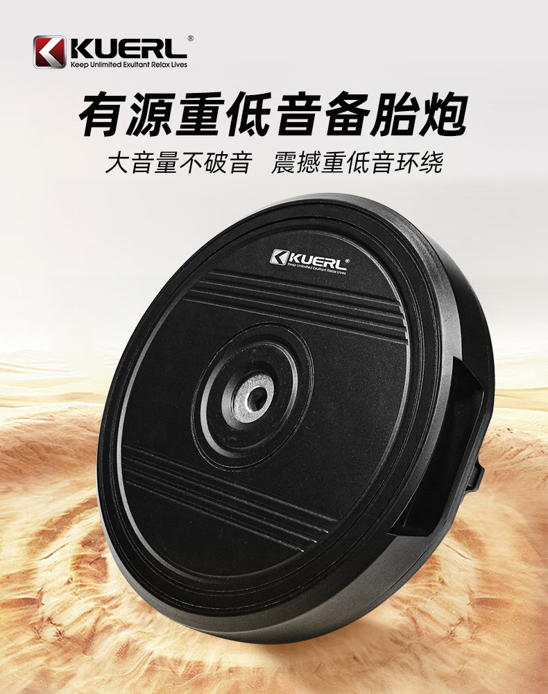 Manufacturer Wholesale Car Audio Modification High-Power Active 12V 12inch Car Active Spare Tire Subwoofer