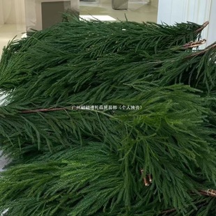 �����u��ϻ������r������Ů��ɼ��cˮ�Bչ�d���b����}�Q��֦
