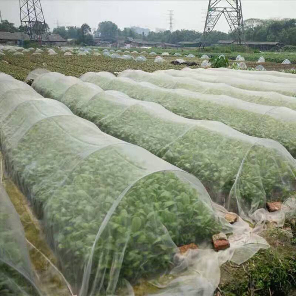 Protective Plant Netting