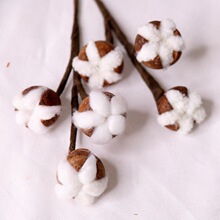 �}�Q�b�����ľ���^�ɻ��b�ֲ�ﻨDIY���h���������޻�΢���^