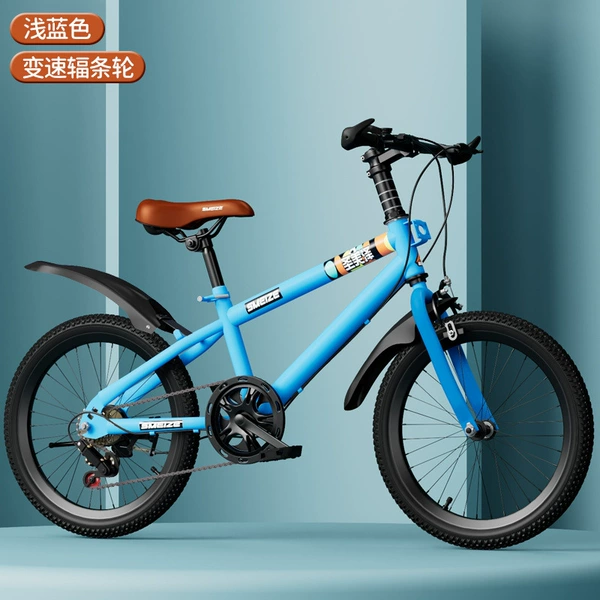 Bike shifter (brake handle), blue bike spokes
