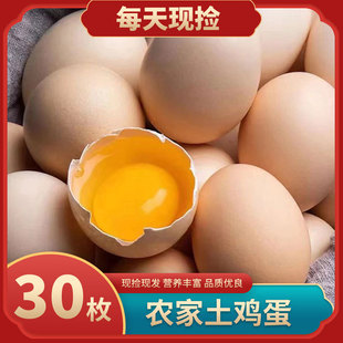 ��30ö/1�С���ɽɢ�B���u���r�����ι�B�������r�u���F��F�l