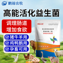 益生菌兽用调理猪牛羊鸡鸭鹅肠道用活菌促长消化降氨气饲料添加剂