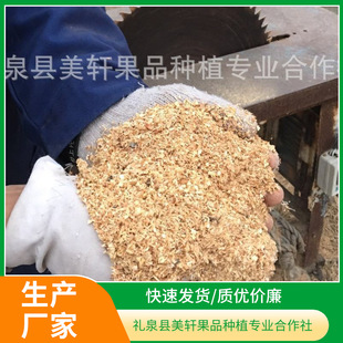 �O��ľ�ĩ��Ѭľм��ľ�ĩ�㹽ľм20����/��