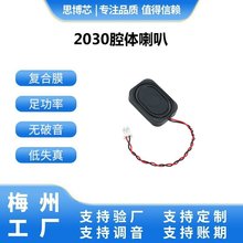 3020��ǻ����4&Omega;8&Omega;1W2W 2030ǻ�w����wifi�T�œP���������T�i