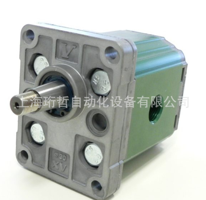 德国VIVOLO 液压泵  X0P0522BBBA